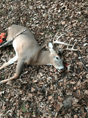 Screen Shot 2019-02-27 at 11.54.39 AM.png