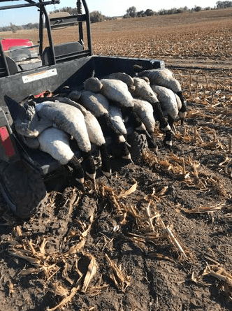 Screen Shot 2019-02-27 at 11.54.51 AM.png